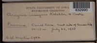 Image Associated With the Occurence